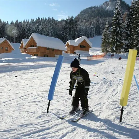 Cozy Chalet In Near Ski Area *